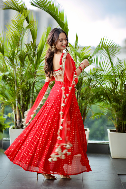 Dolly Red Anarkali