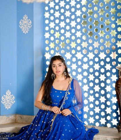 Radha Blue Anarkali